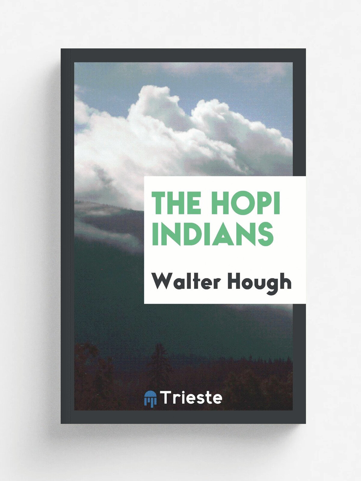 The Hopi Indians