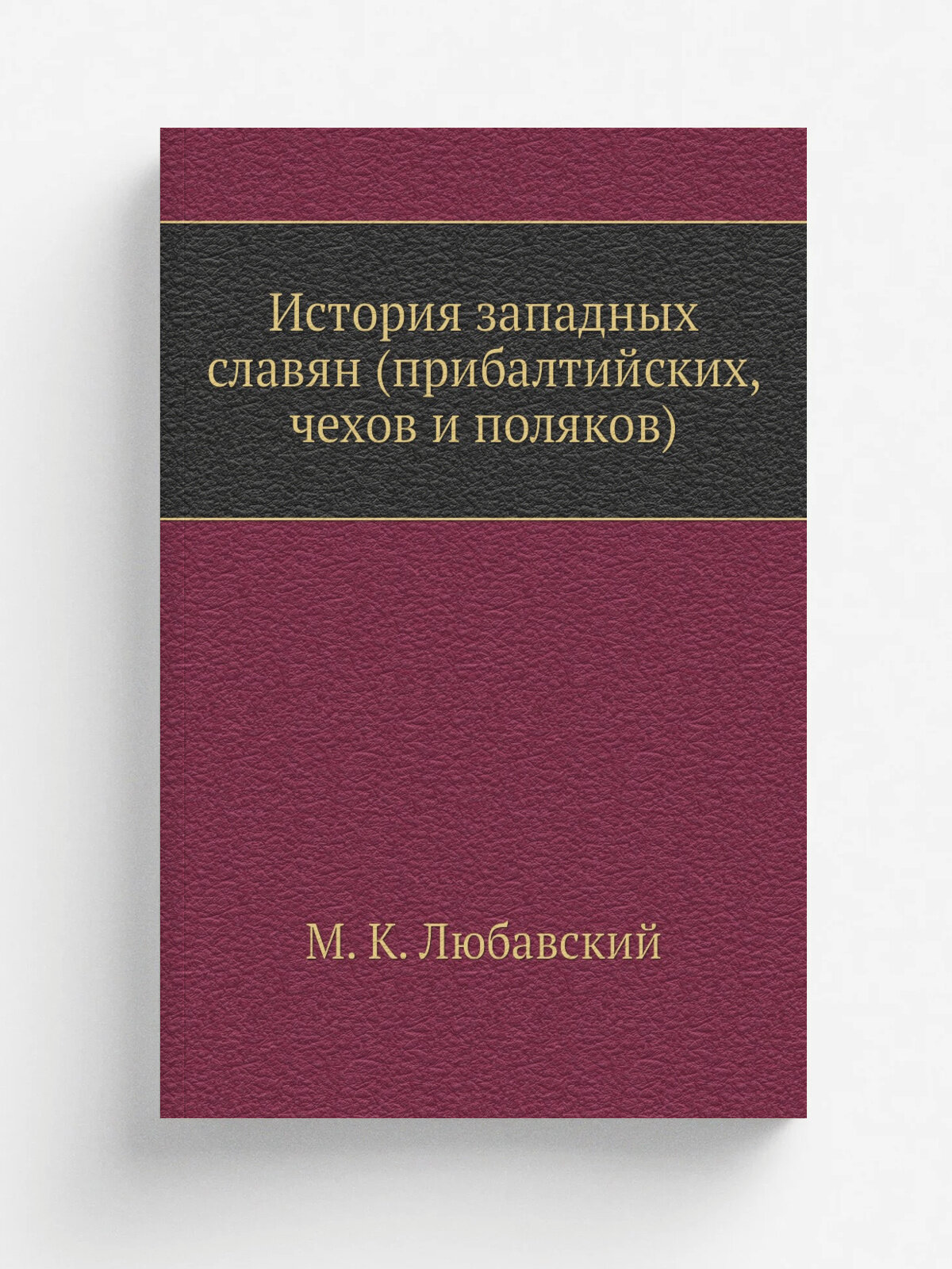 История западных славян (прибалтийских, чехов и поляков)