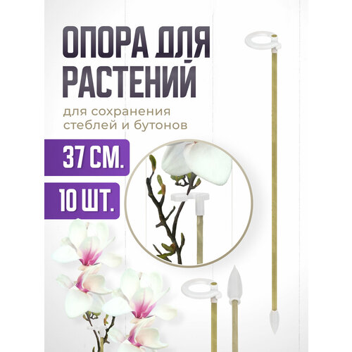фото Опора для растений с кольцом, колышки садовые для рассады, для орхидей , комнатных цветов 37 см 10 шт агромадана