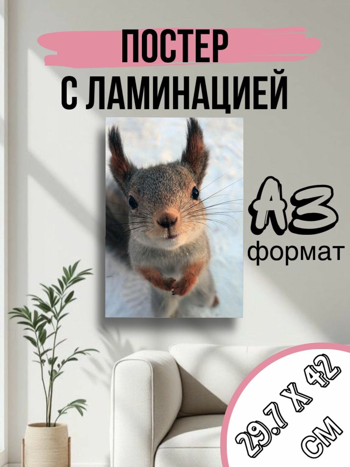 Постер