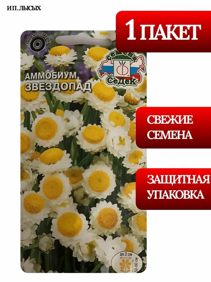 Семена Аммобиум "Звездопад"