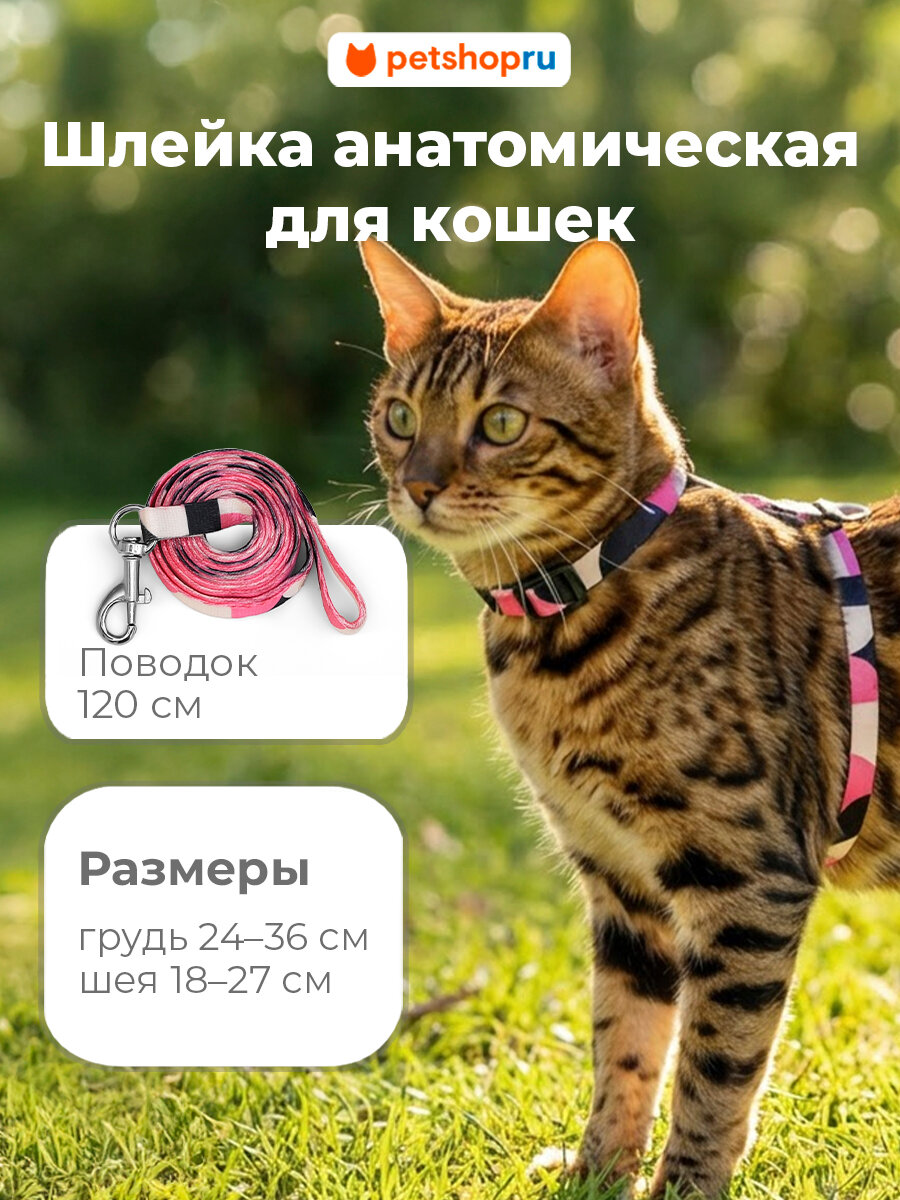 PETSHOP Шлейка с поводком для кошек "Мяу", 24-36 см, розовый-белый