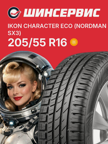 Изображение товара Летняя шина Ikon tyres Character Eco 205/55 R16 91H