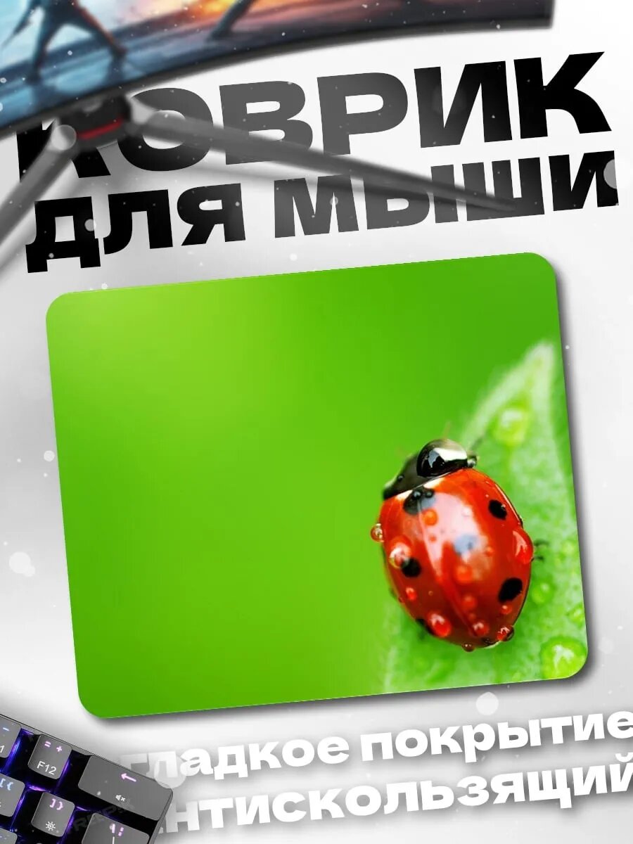 Коврик для мыши божья коровка