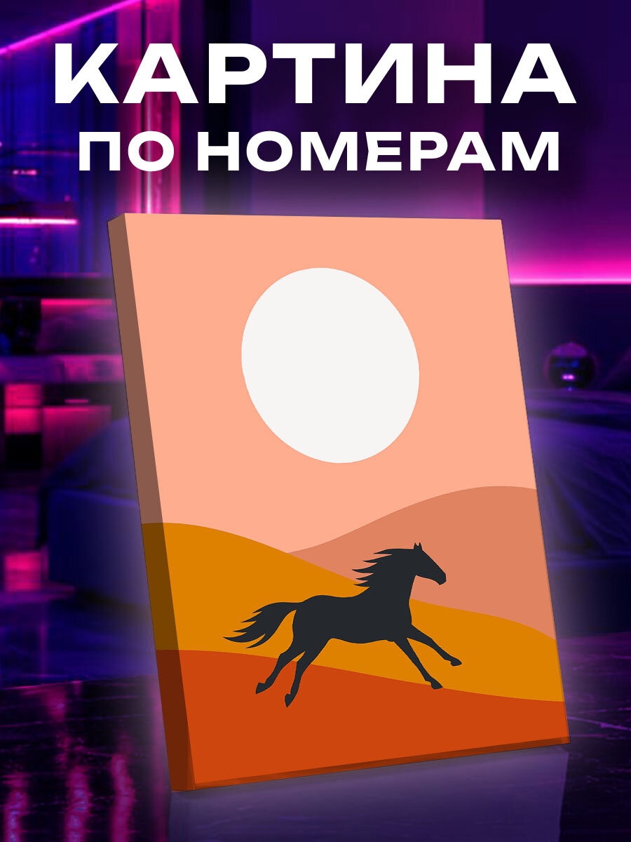 Картина по номерам Чёрная лошадь над дюнами
