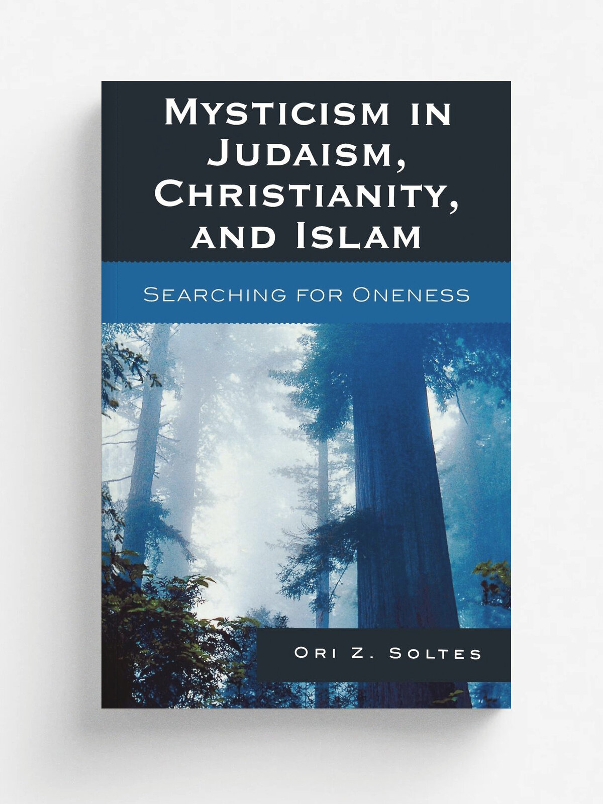 Mysticism in Judaism, Christianity, and Islam. Searching for Oneness