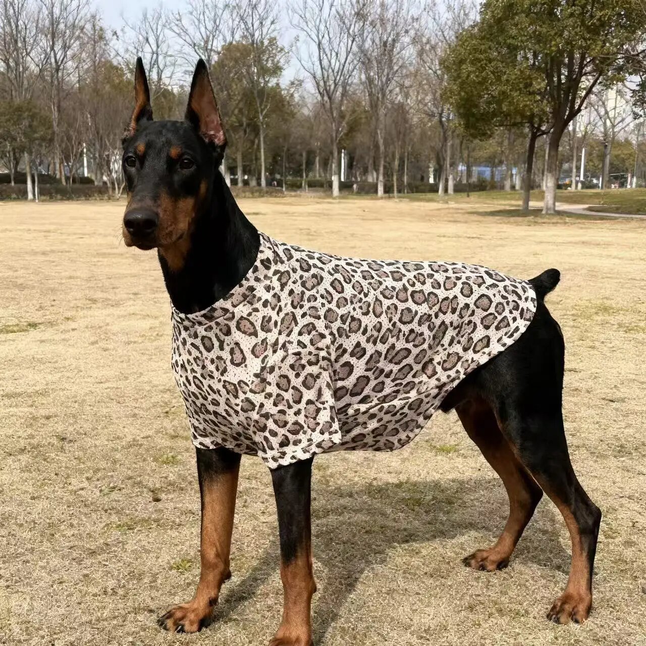 CAIBAN Охлаждающий жилет для собак, мультяшный, полиэстер Черный, 3XL, Leopard Print
