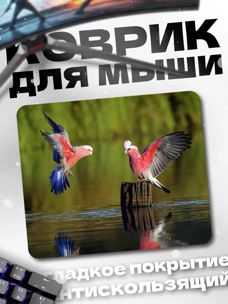 Коврик для мыши Розовые какаду