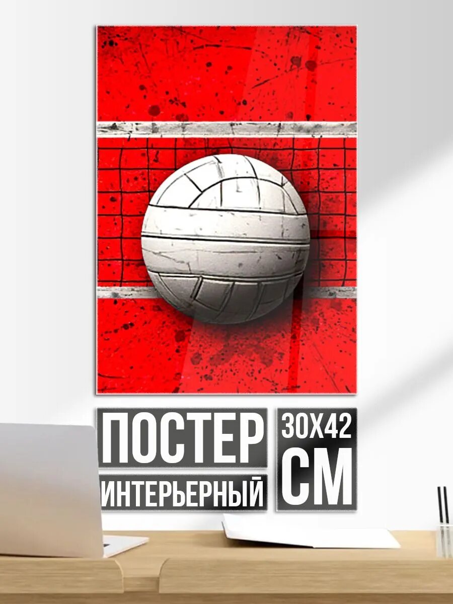 Постер на стену Волейбольная сетка и мяч на красном