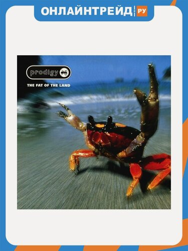 Изображение товара Виниловая пластинка Warner Music The Prodigy - The Fat Of The Land (2LP)