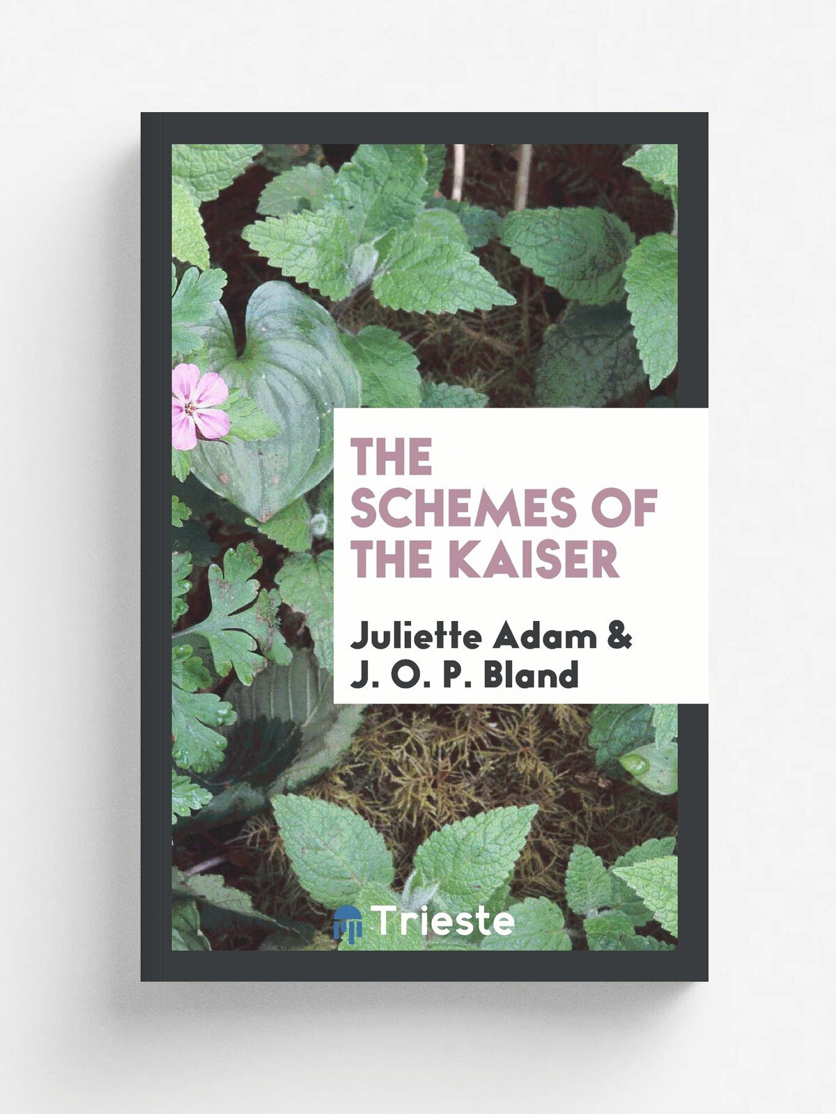 The schemes of the Kaiser