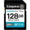 Фото Kingston Canvas Go! Plus
