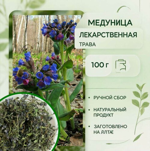 Изображение товара Медуница лекарственная, трава цельная с цветом, 100 г, АлтайМир