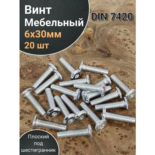 фото Винт мебельный 6х30 плоский под шестигранник din7420,20 шт 23 болта