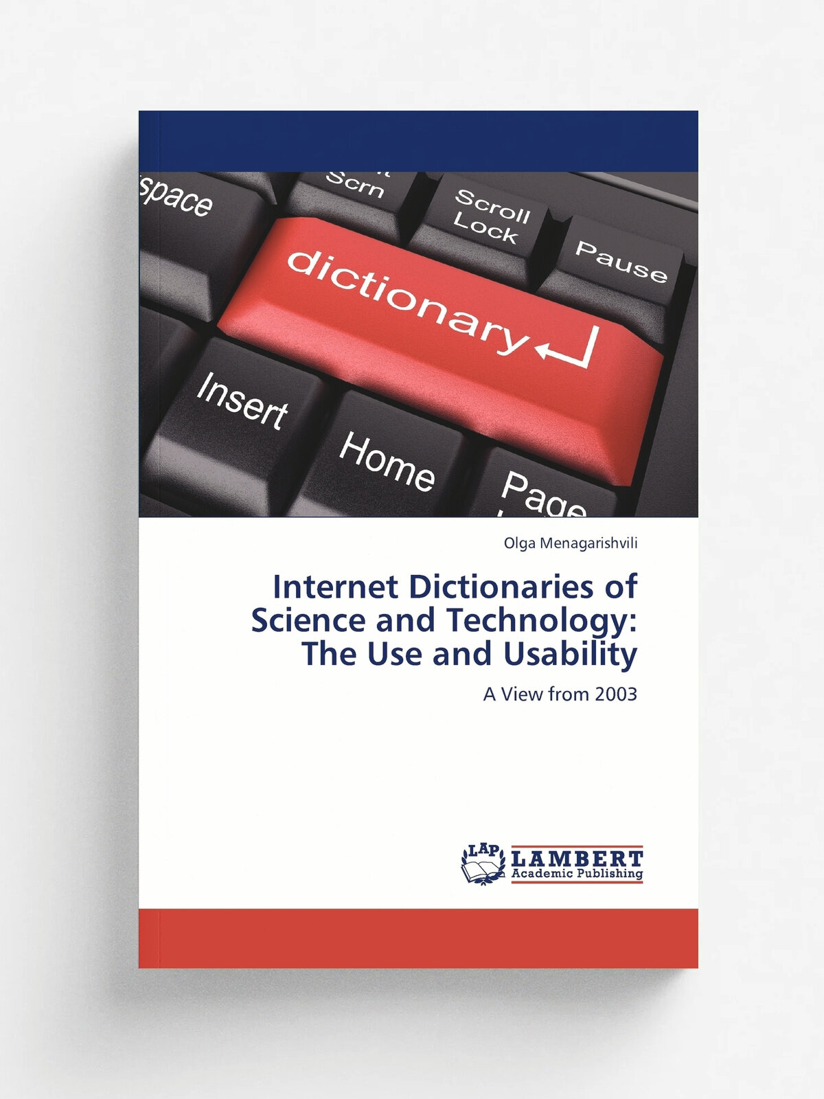 Internet Dictionaries of Science and Technology. The Use and Usability