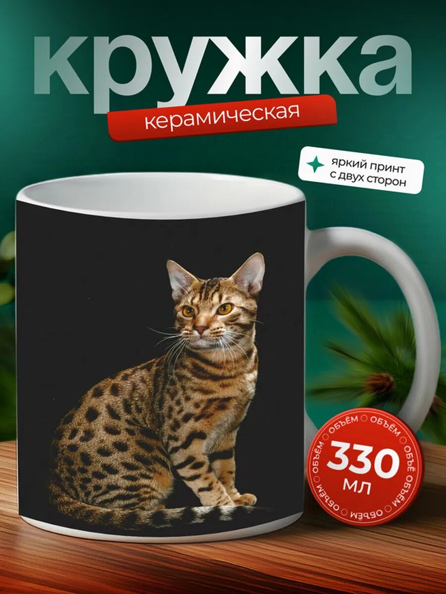Кружка Классический перс кот 25,