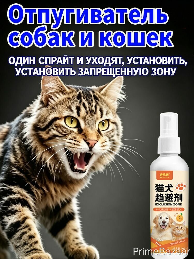 Апли от гнойных выделений глаз для собак и кошек