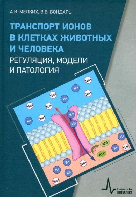Транспорт ионов в клетках животных и человека - регуляция, модели и патология.