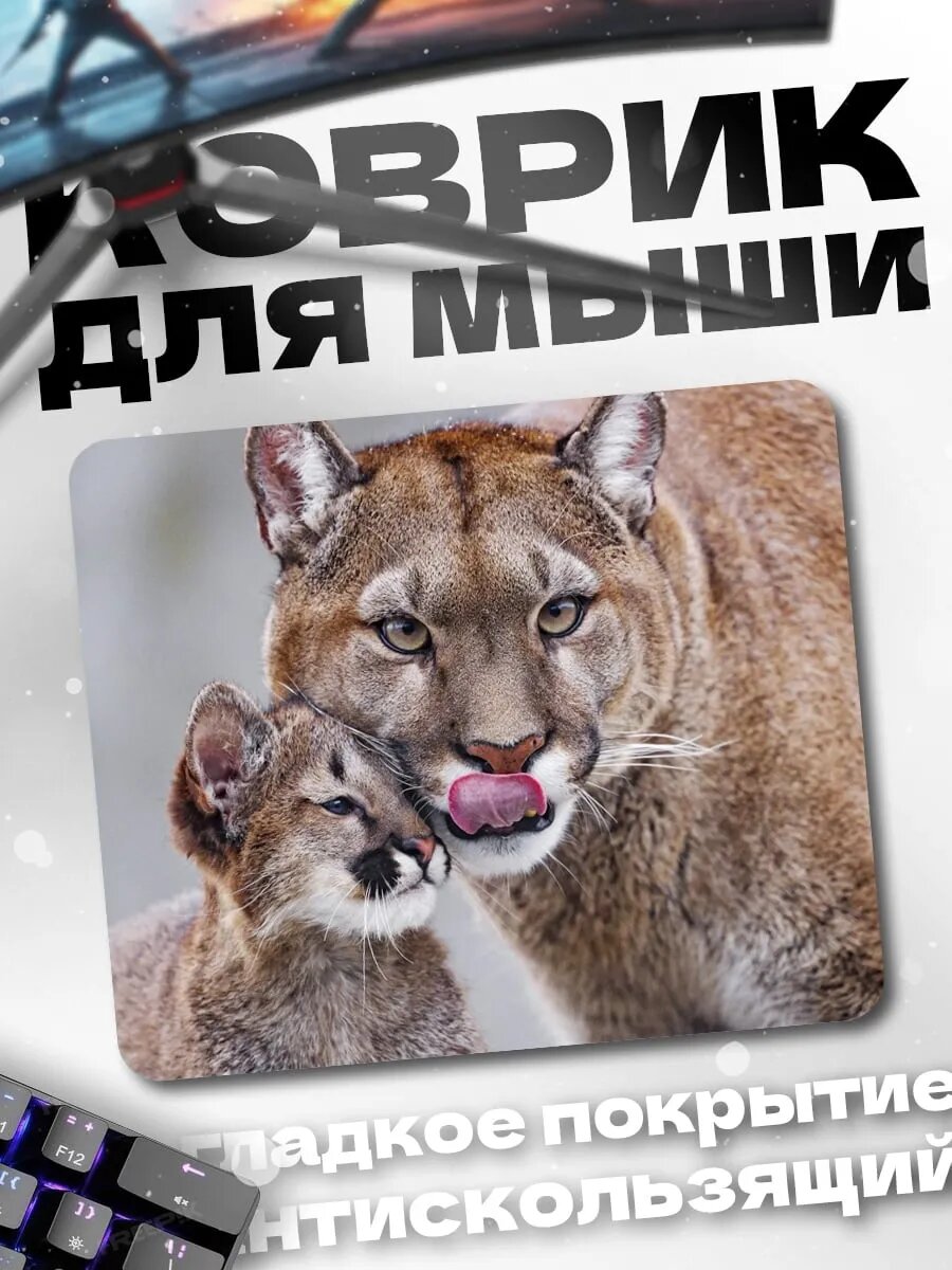 Коврик для мыши Мама пума с котенком