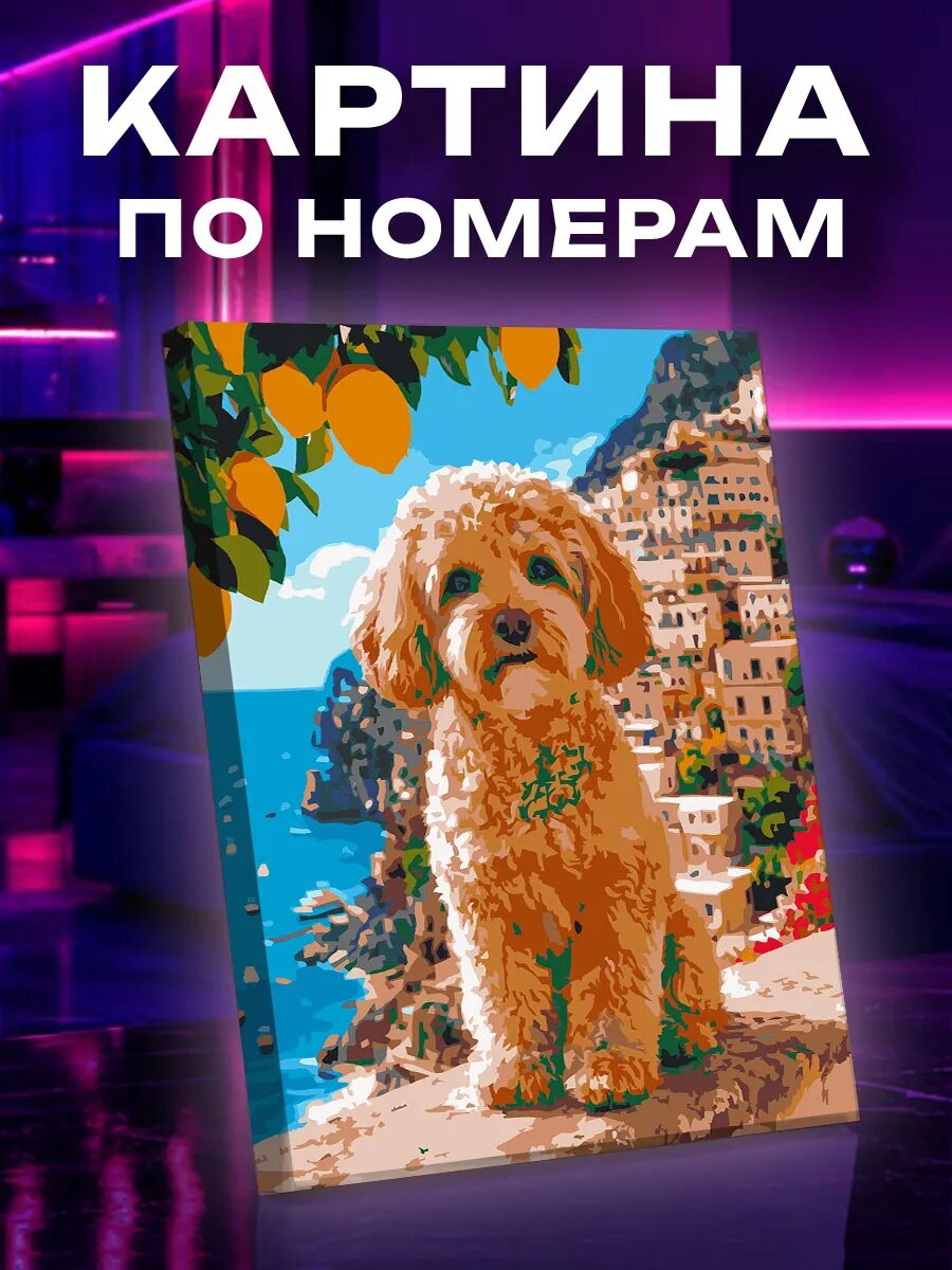 Картина по номерам мальтипу на фоне цветного побережья
