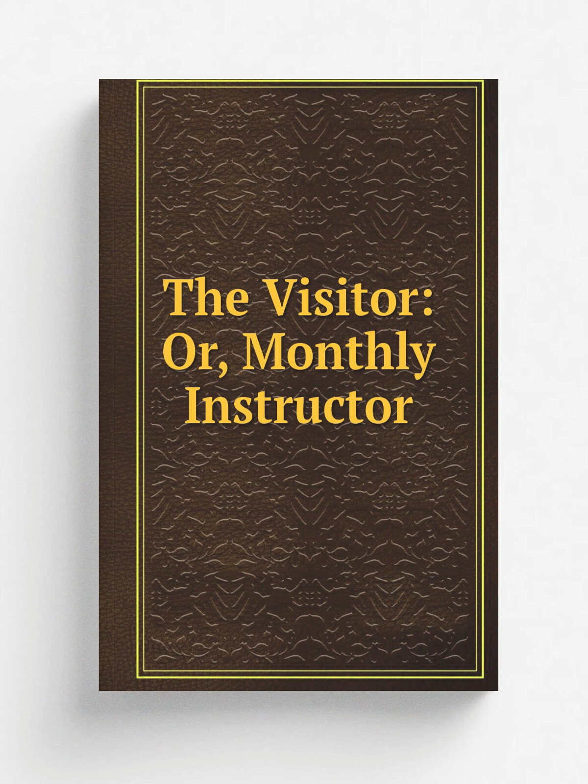 The Visitor: Or, Monthly Instructor
