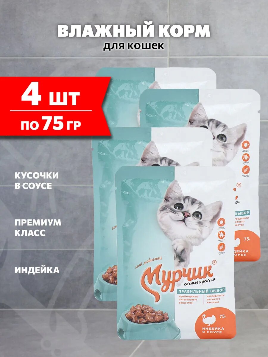 Корм влажный Мурчик для взрослых кошек, индейка в соусе, 75 г 4 шт