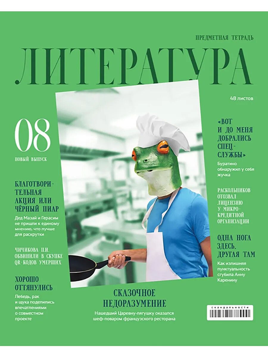 Тетрадь предметная Скандальности. Литература, 48 л, линия