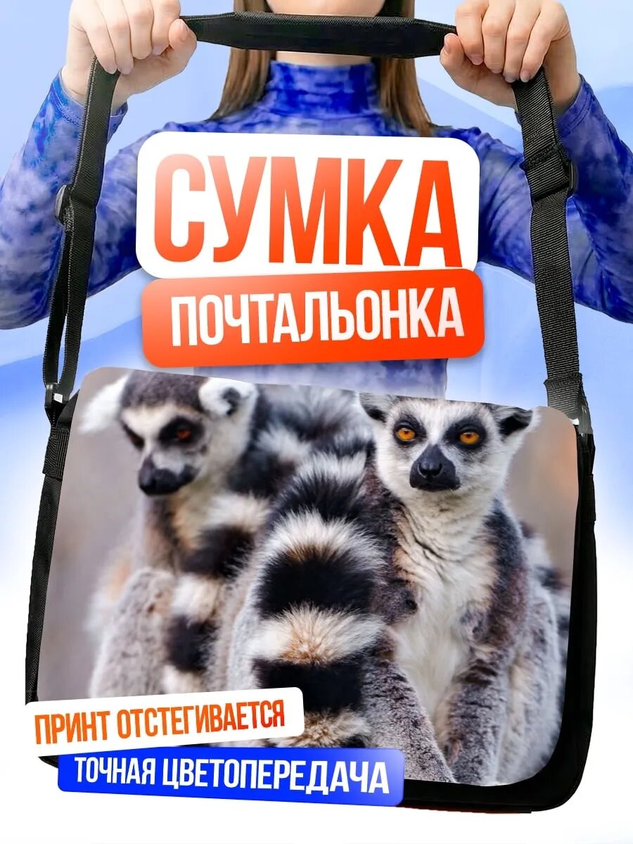Sumka ikkita lemurning onasi va bolasi