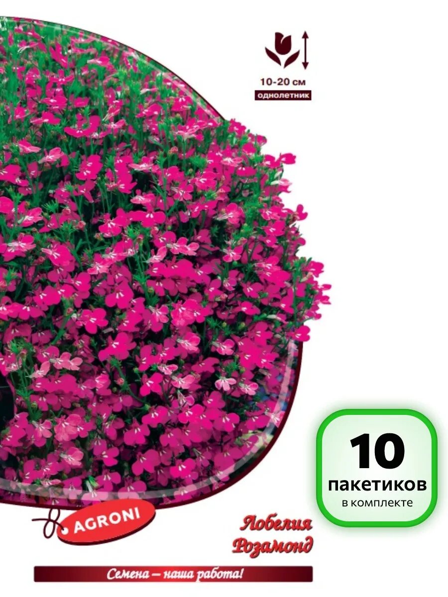 (10 шт.) - Семена Лобелия Розамонд (0,1г)