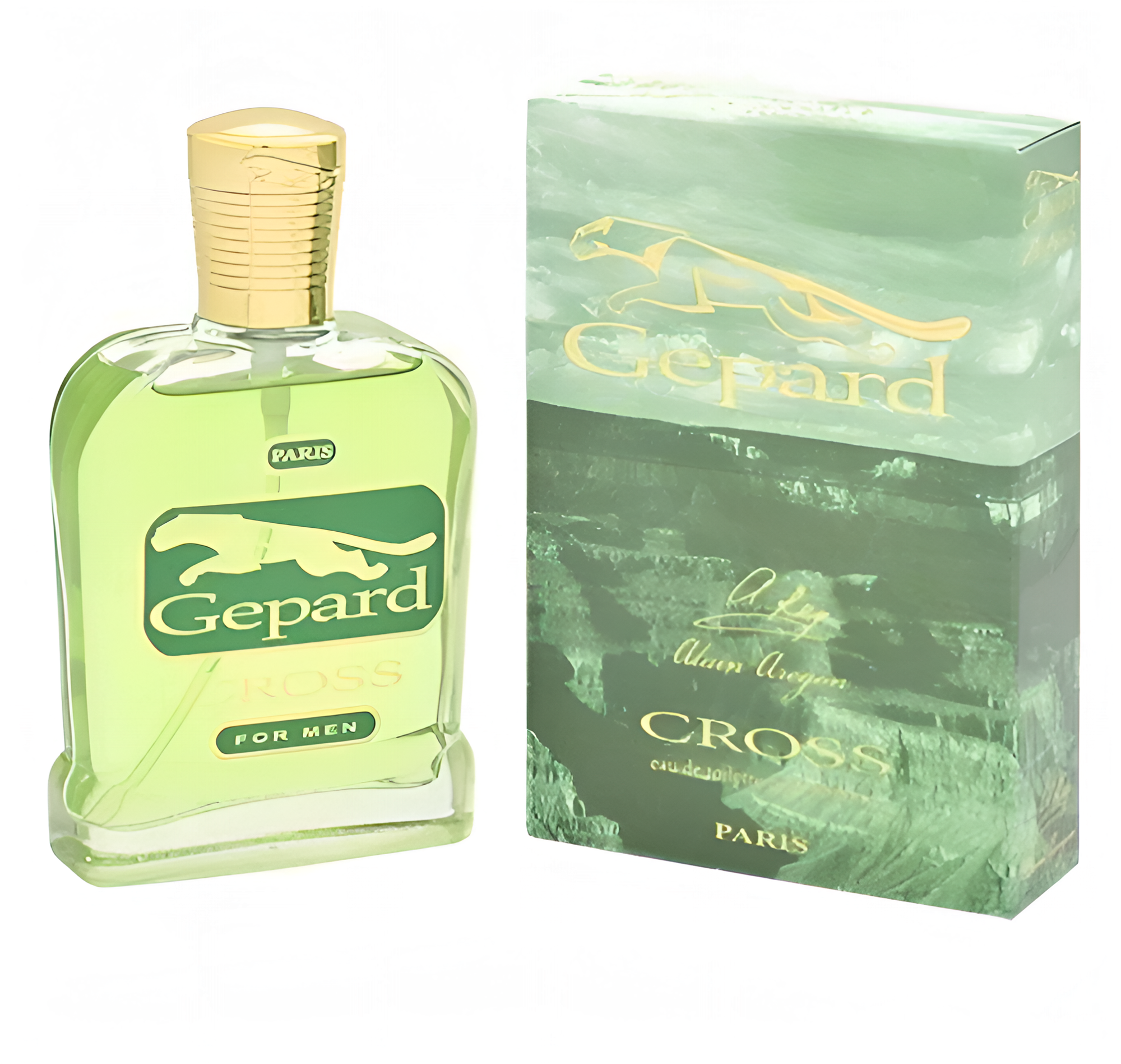 ALAIN AREGON (Positive parfum) Туалетная вода мужская GEPARD CROSS