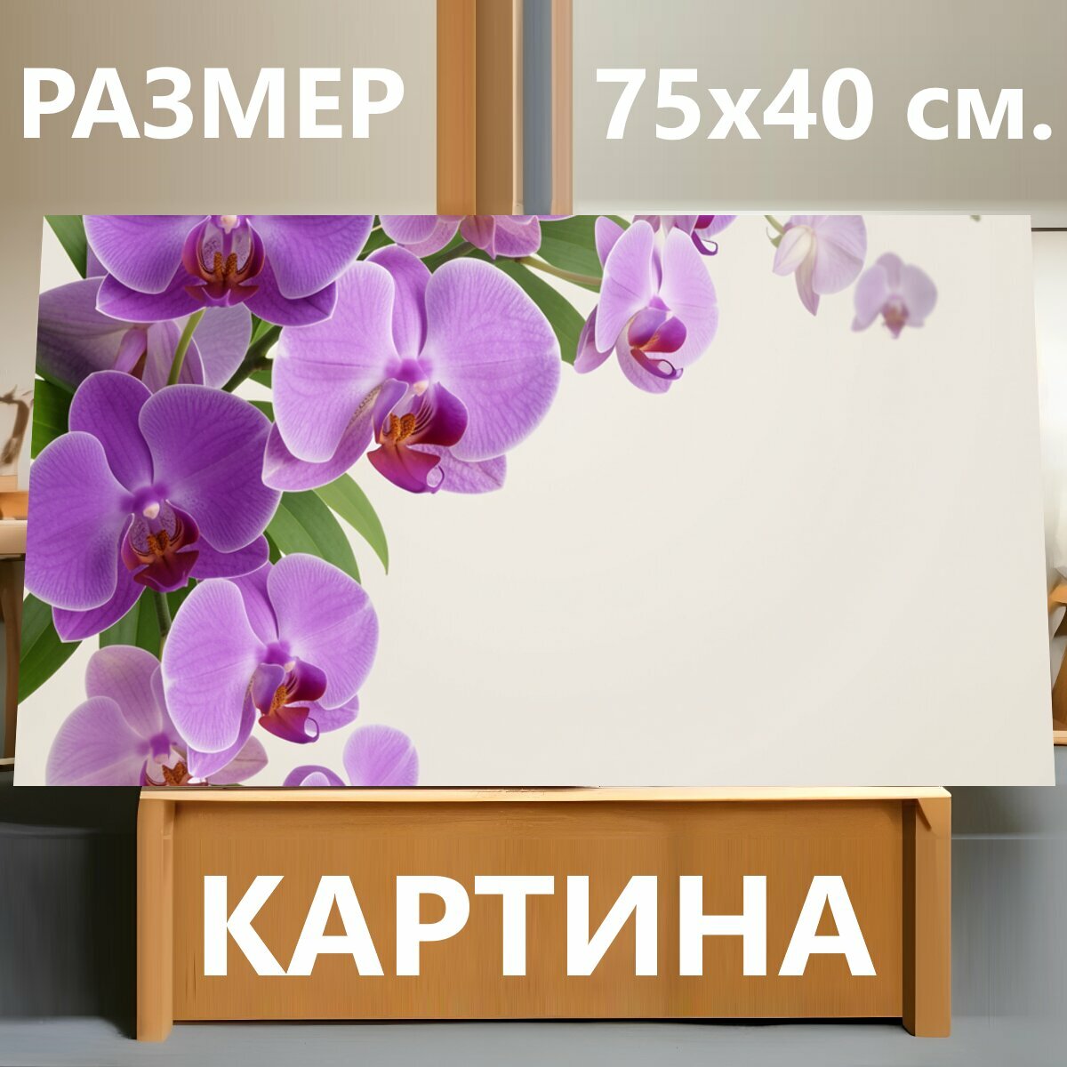 Картина на холсте "Фиолетовые орхидеи на светлом фоне. Изящная цветочная композиция с нежными сиреневыми и лиловыми орхидеями, зелёными." на подрамнике 75х40 см. для интерьера