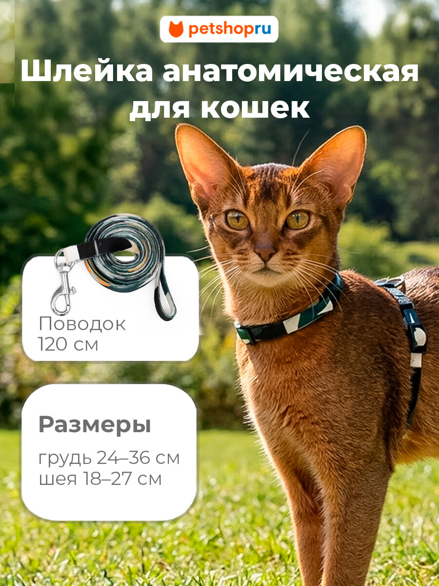PETSHOP Шлейка с поводком для кошек "Мяу", 24-36 см, зеленый-белый