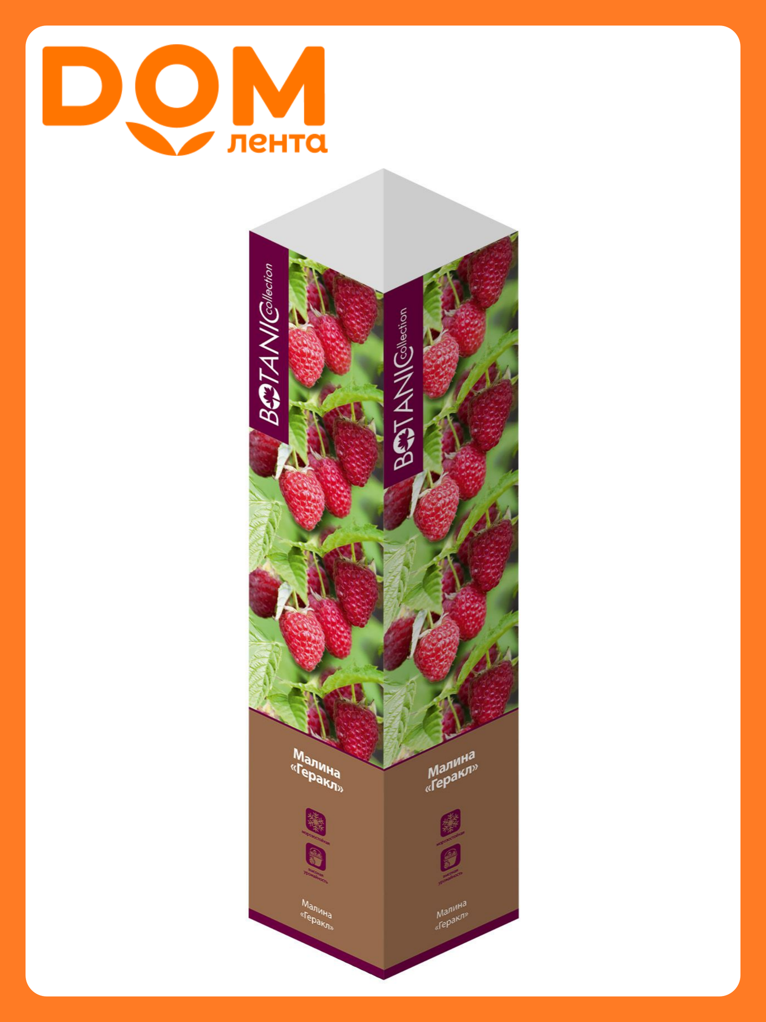 Малина микс В коробке