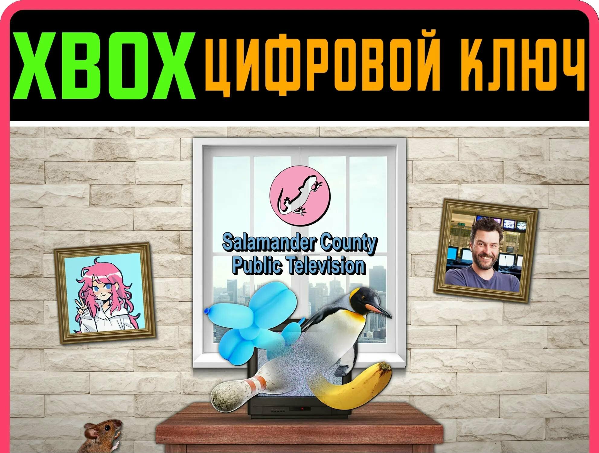SALAMANDER COUNTY PUBLIC TELEVISION XBOX ONE/X|S ключ | Работает на ваш акк | Игра навсегда | Быстрая доставка