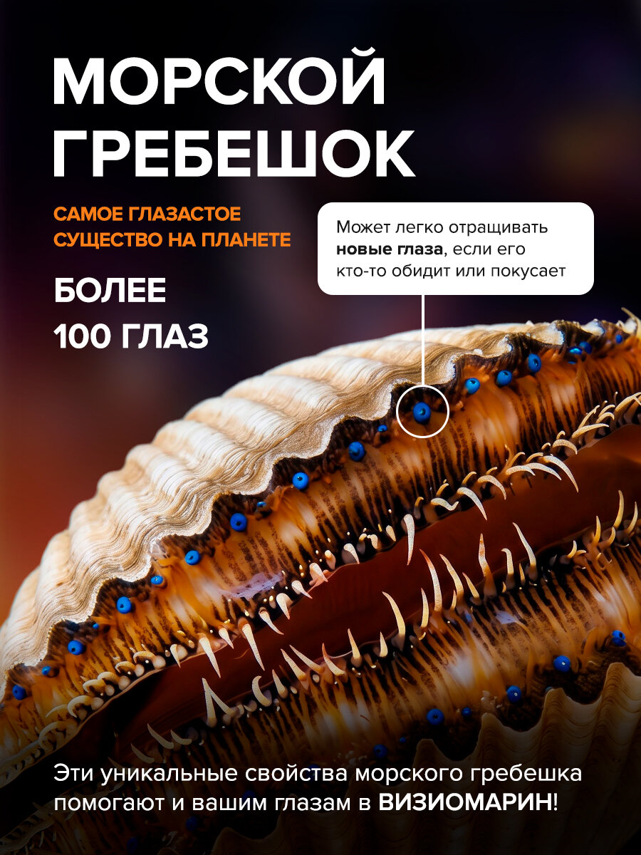 Визиомарин, витамины для глаз с вытяжкой из морского гребешка, комплекс для зрения, с таурином, лютеином, зеаксантином — фото 1