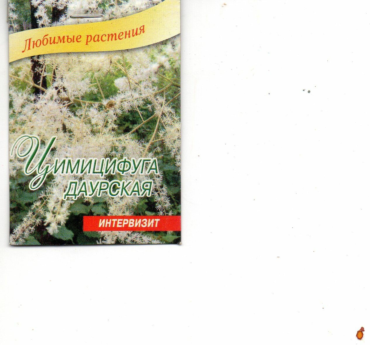 Цимицифуга даурская семена