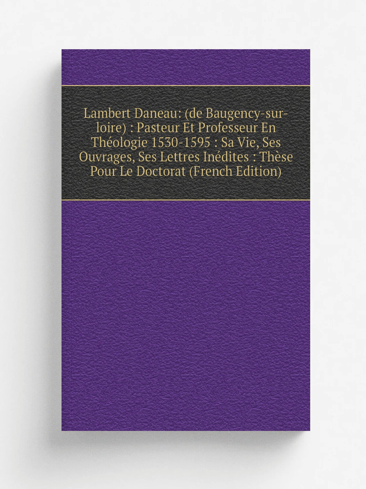 Lambert Daneau: (de Baugency-sur-loire) : Pasteur Et Professeur En Th.ologie 1530-1595 : Sa Vie, Ses Ouvrages, Ses Lettres In.dites : Th.se Pour Le D…