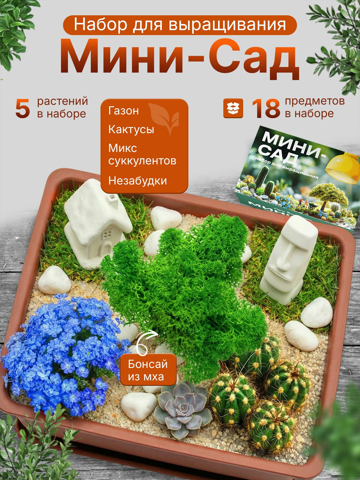Набор для выращивания Мини садик с кактусом, суккулентами, незабудка