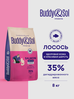 Корм для кошек сухой Buddy&Sol 8 кг премиум-класса с лососем, для здоровой кожи и шерсти