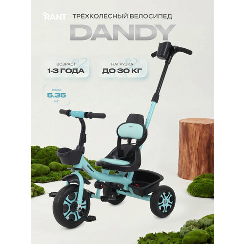 фото Велосипед детский трехколесный rant basic rb252 dandy, mint (мятный)