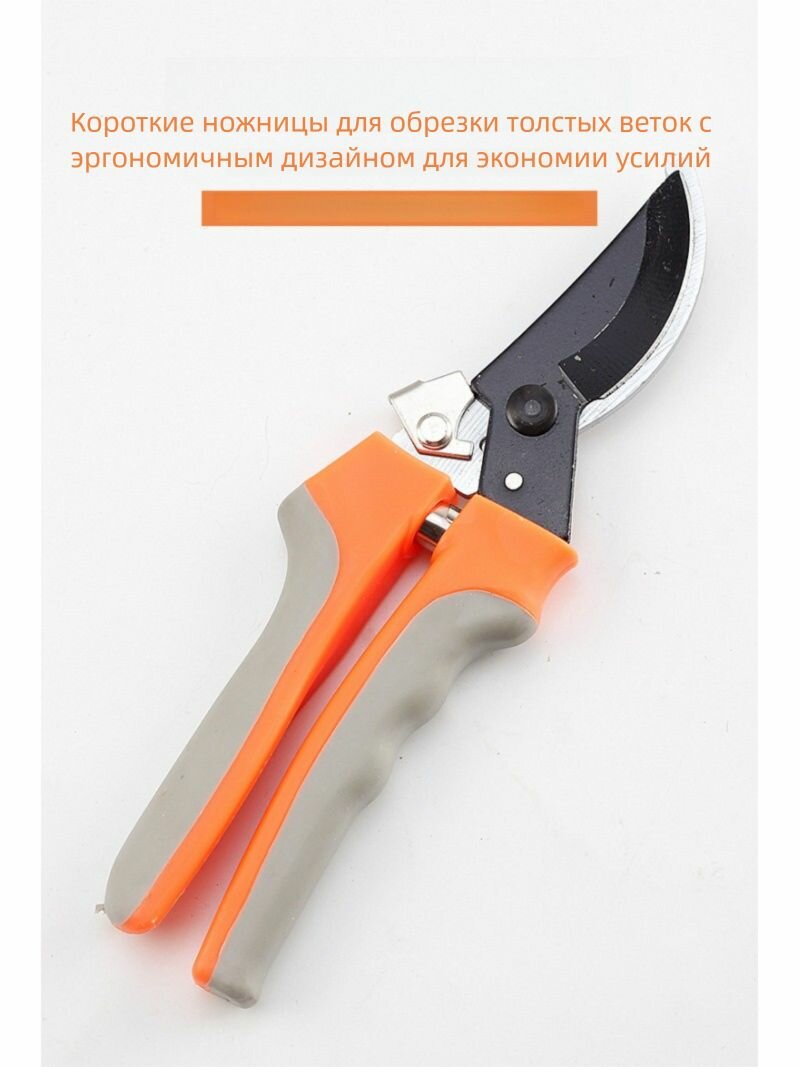 Секатор, Секаторы, Инструментальная сталь, Ручные секаторы, высоторезы, сучкорезы — фото 1
