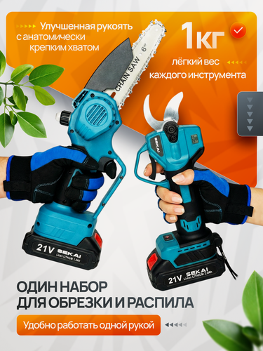 Изображение товара Пила аккумуляторная цепная и секатор аккумуляторный, набор, с 2 АКБ