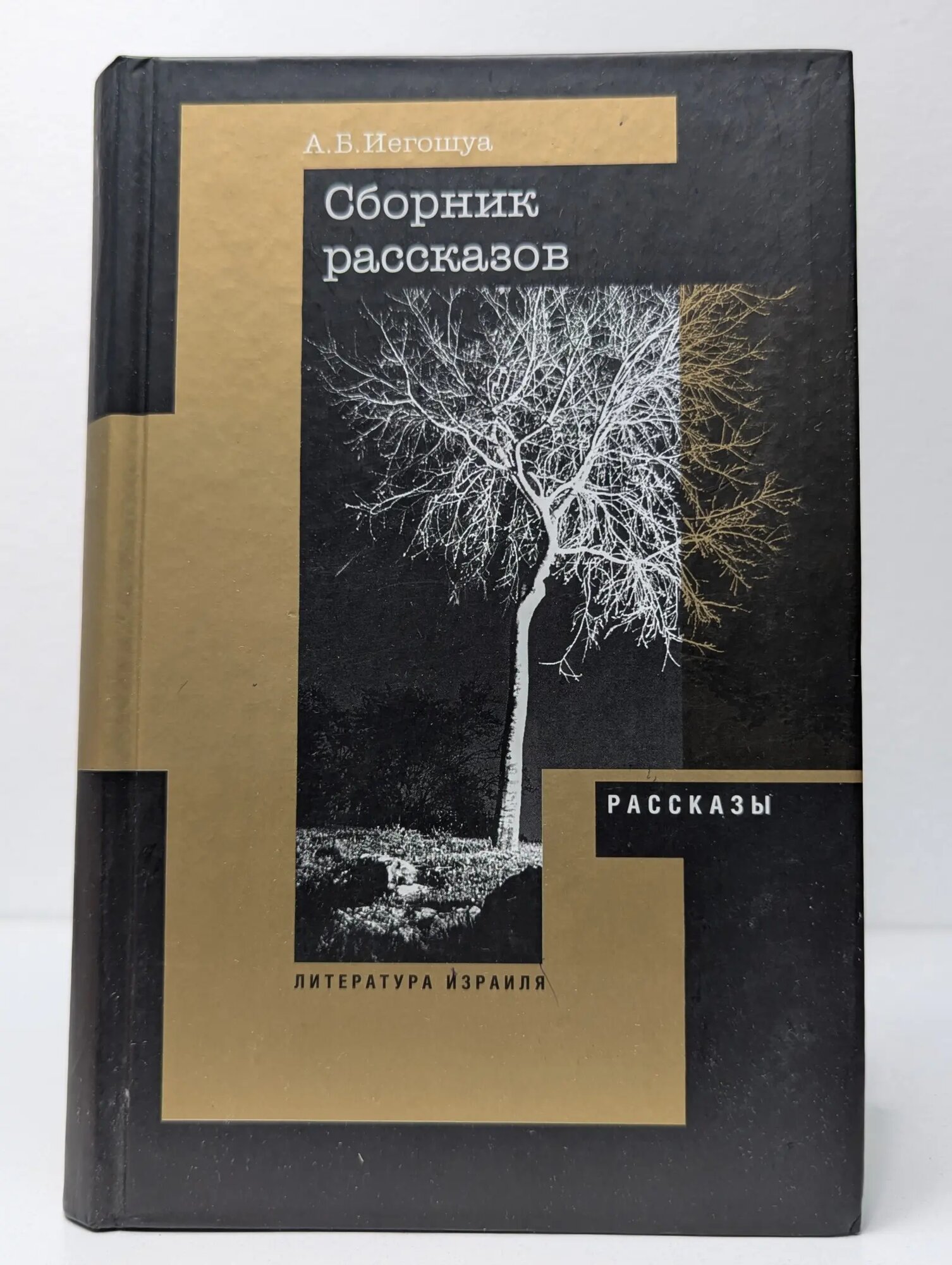 Авраам Иегошуа. Рассказы Иегошуа Авраам Бен 2002