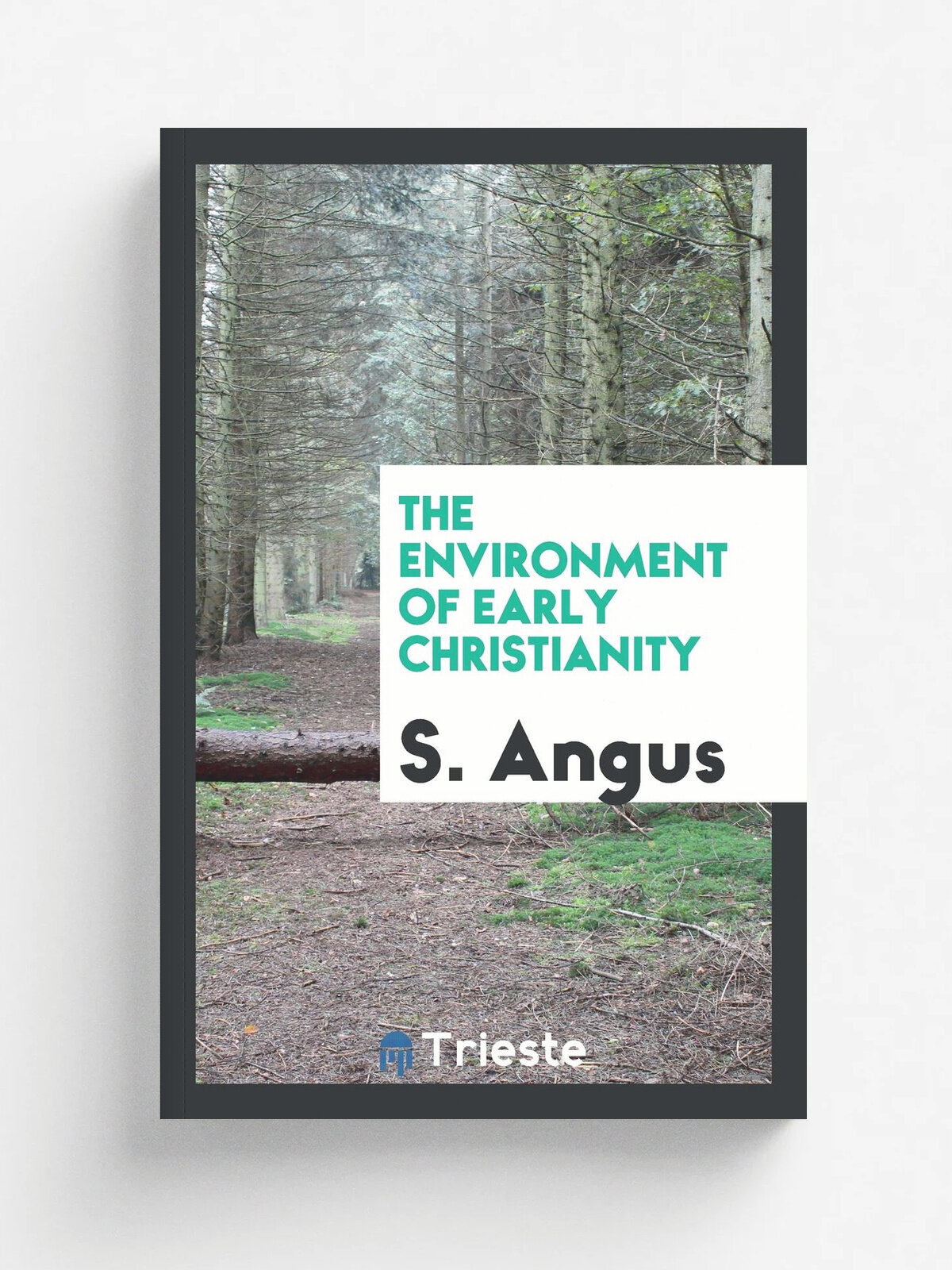 The environment of early Christianity