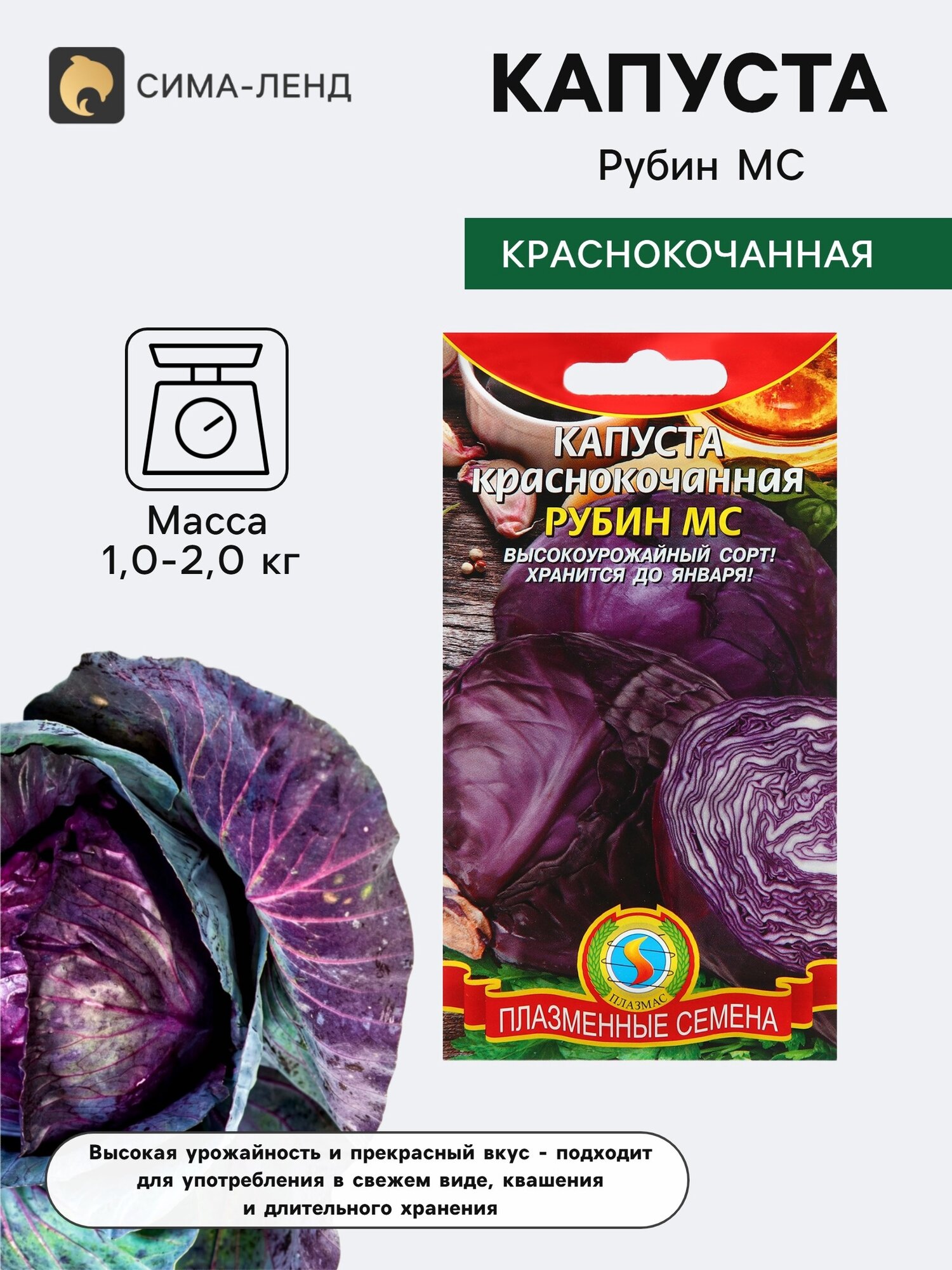 Семена Капуста краснокочанная Рубин МС. 6 упаковок