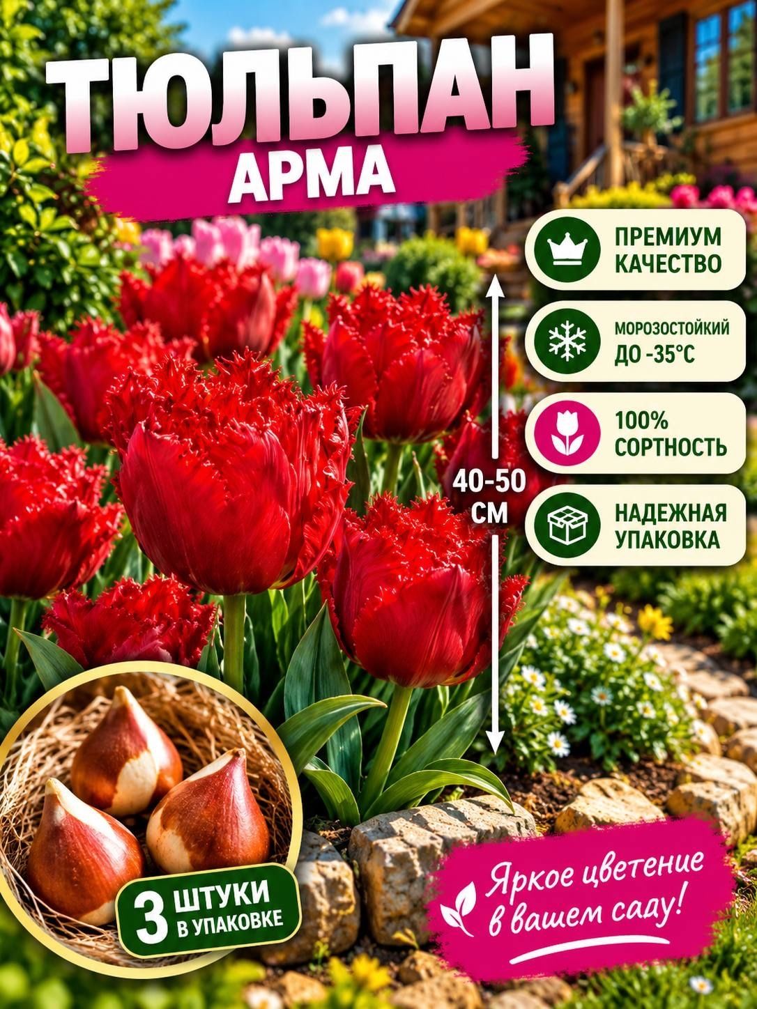 Луковицы тюльпана "Арма" 3шт.