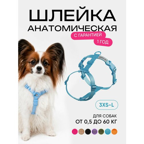 фото Шлейка для собак мелких и средних пород анатомическая размер xs, голубая, pro comfort procomfort