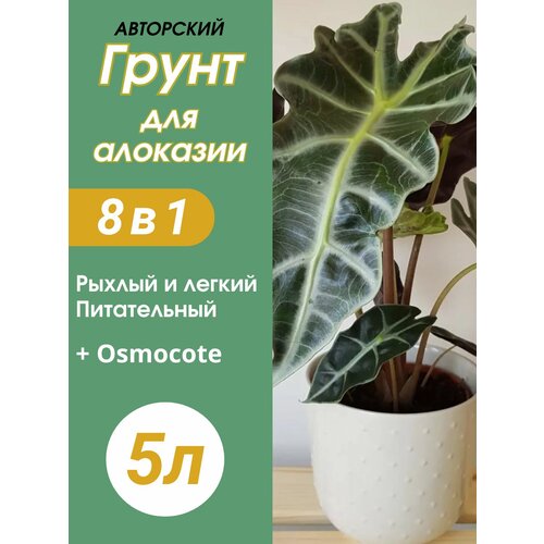 фото Грунт для алоказии 5л