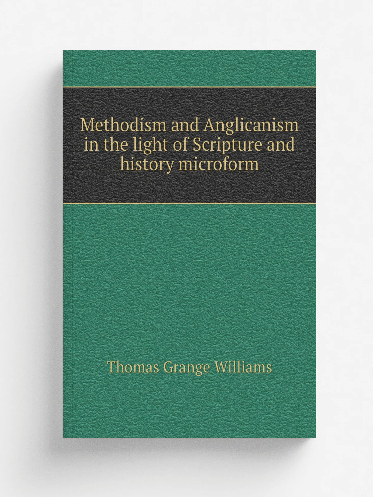 Methodism and Anglicanism in the light of Scripture and history microform