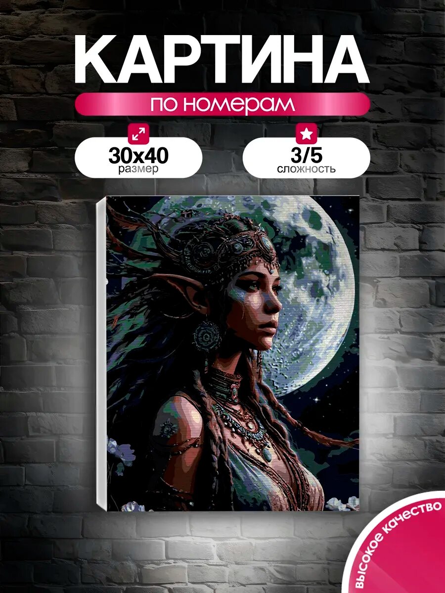 Картина по номерам 30x40 Лунная эльфийка